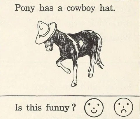 Pony Has a Cowboy Hat