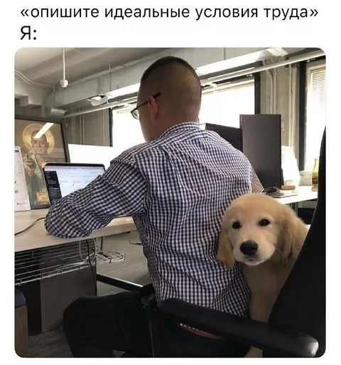 Идеальные условия труда