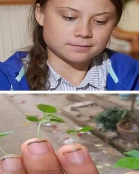 Пальцы с ростками