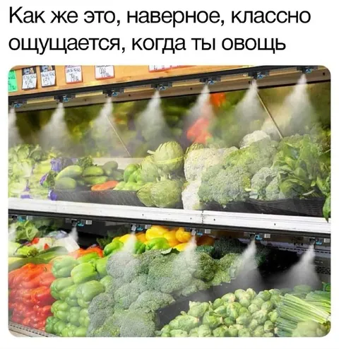 Овощ ощущает себя классно