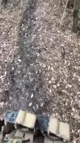 Поездка по грязной лесной тропе