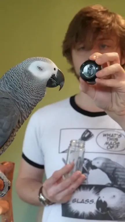 Parrot Wants the Bottle