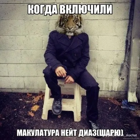 Тигр в костюме на стуле