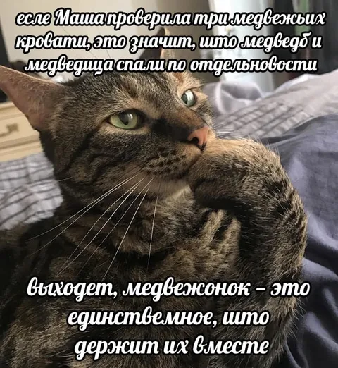 Медвежонок держит семью вместе