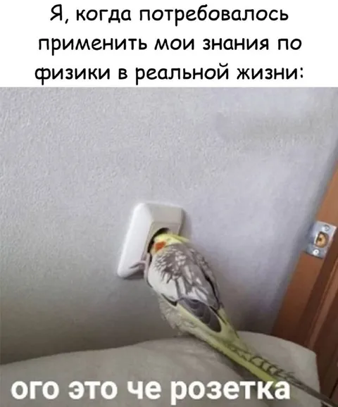 Применить физику в жизни