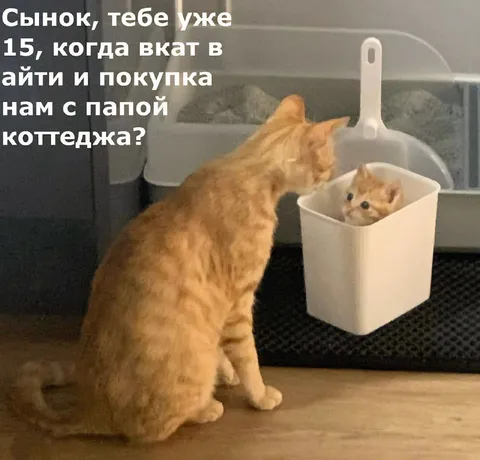 Сынок, тебе уже 15
