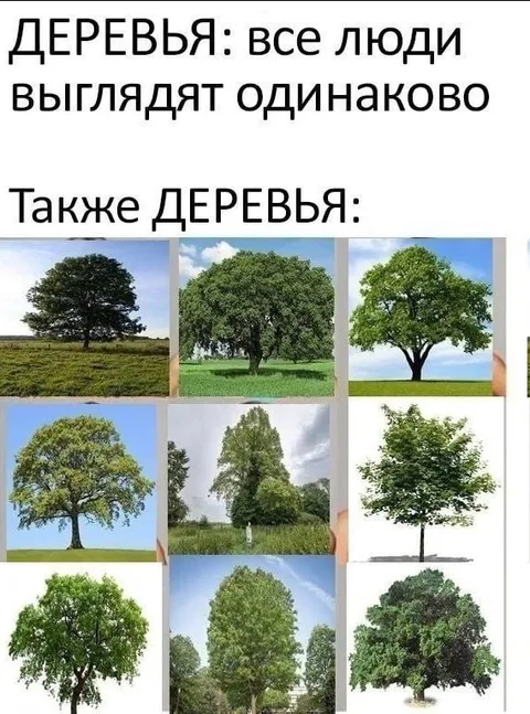 Деревья тоже разные
