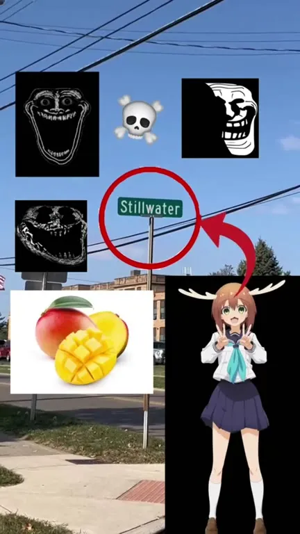 Stillwater Brainrot Collage