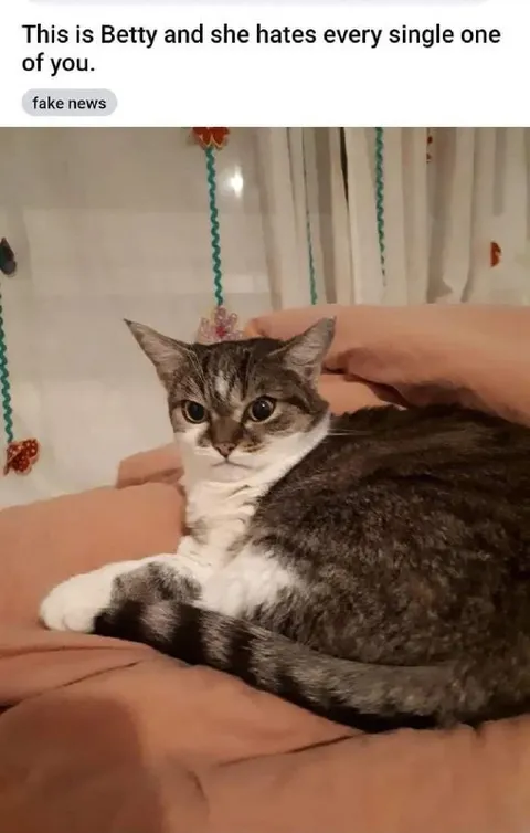 Betty Hates Every One of You