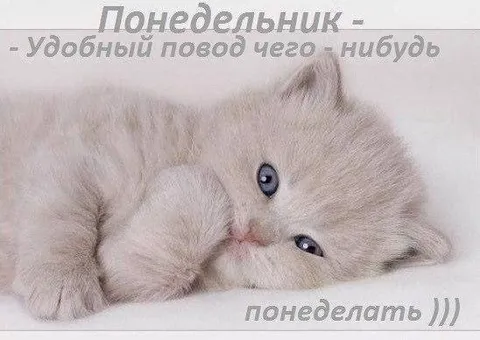 Удобный повод понеделать