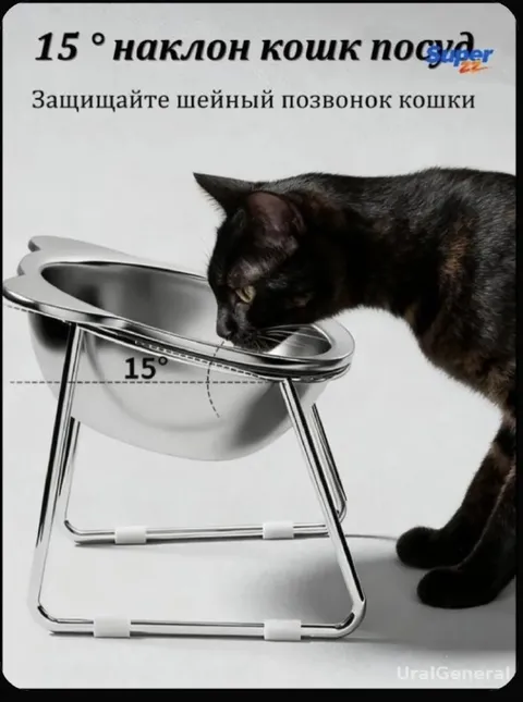 Кошка пьёт под углом 15°
