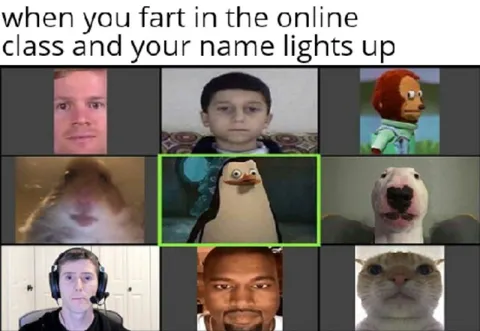 Online Class Fart Reveal