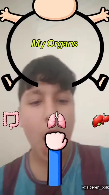 My Organs Falling Apart