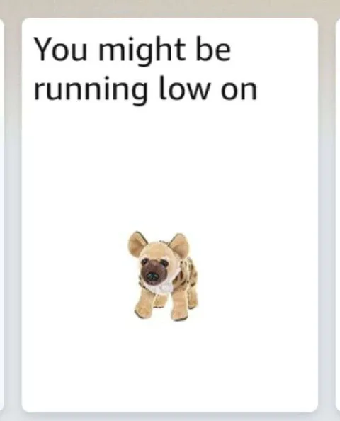 Running Low on Dog
