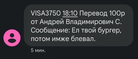 Съел твой бургер и блевал