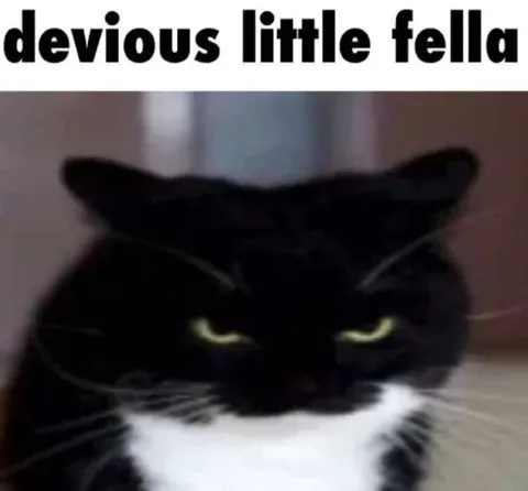 Devious Little Cat