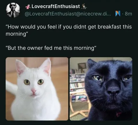 Cat Breakfast Betrayal