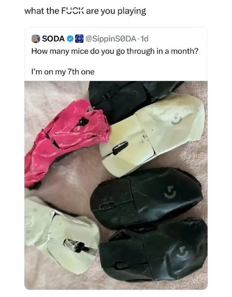 Seventh Mouse This Month
