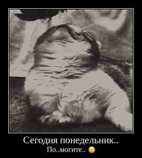 Сегодня понедельник, поможете?