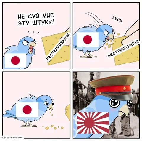 Не суй мне вестернизацию