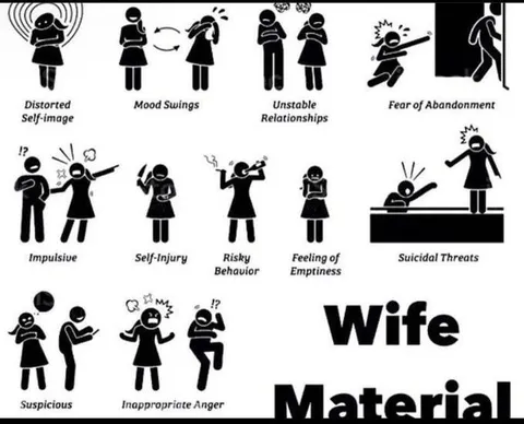 Wife Material Warning Signs