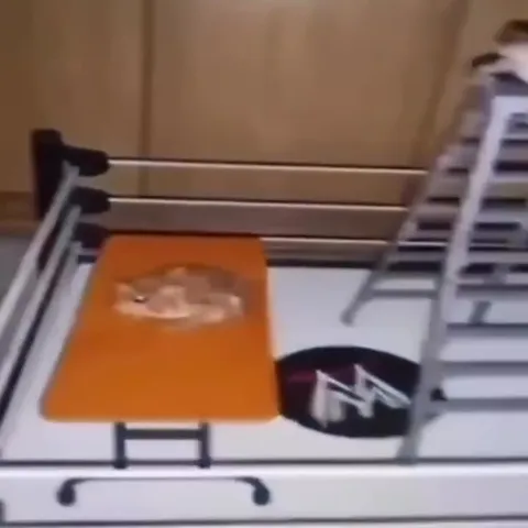 Мышь проваливается сквозь ринг