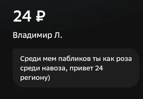 Роза среди навоза