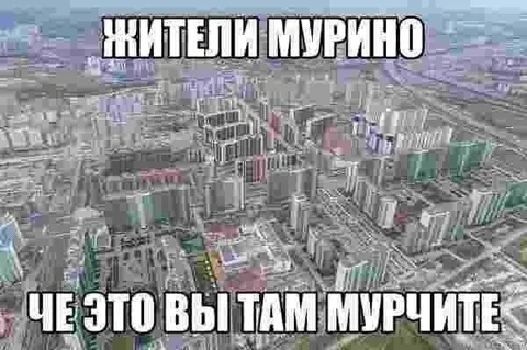 Жители Мурино возмущаются