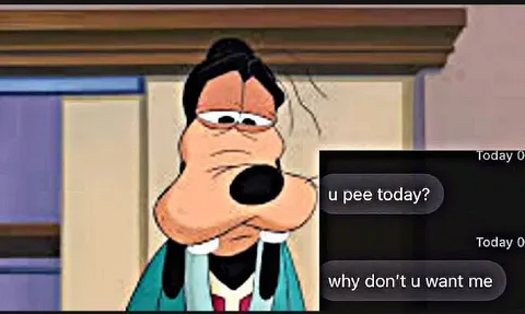 Goofy Asks Why You Don't Want Me