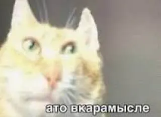 Ато вкарыамыслe