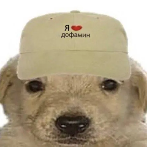 Я люблю дофамин
