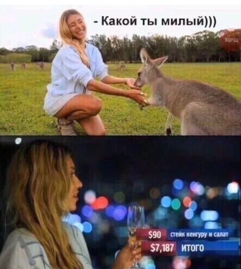 Милый кенгуру и счёт