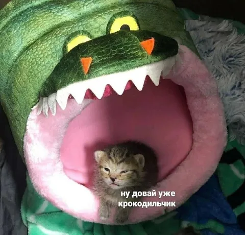 Ну давай уже, крокодильчик