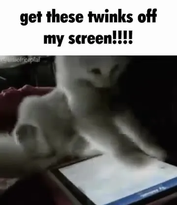 Cat Kicks Twinks Off Screen