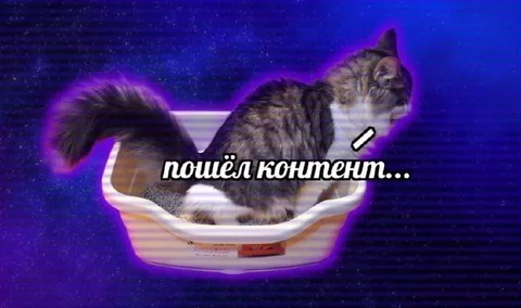 Пошёл контент