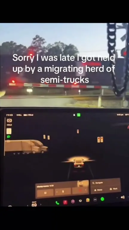 Migrating Herd of Semi-Trucks
