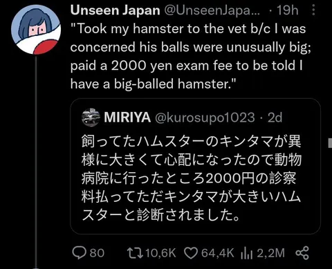 Big-Balled Hamster Vet Visit