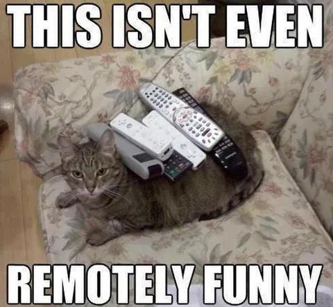 Cat With Too Many Remotes