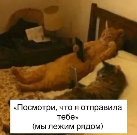 Посмотри, что я отправила тебе