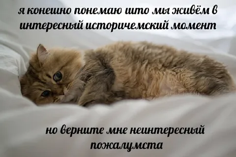Верните неинтересный момент