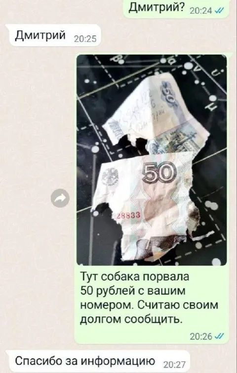 Собака порвала 50 рублей