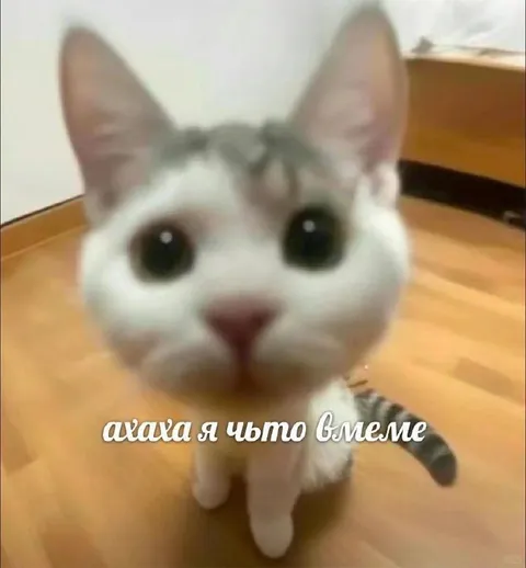 Ахаха, я что вьеме