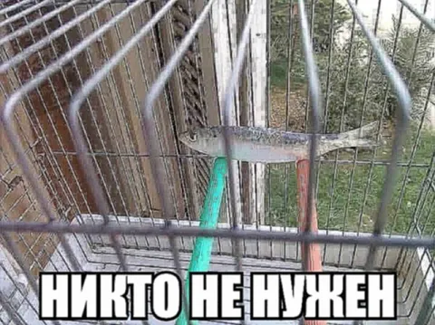 Никто не нужен