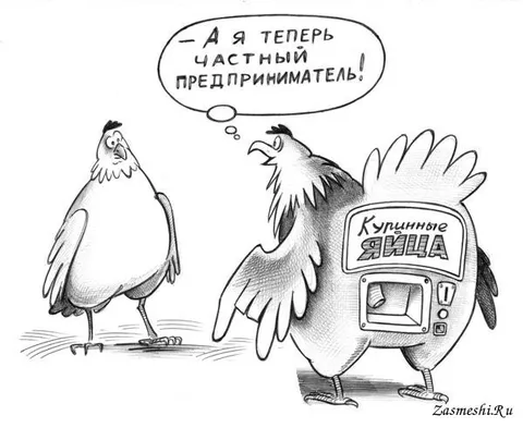 Курица стала предпринимателем
