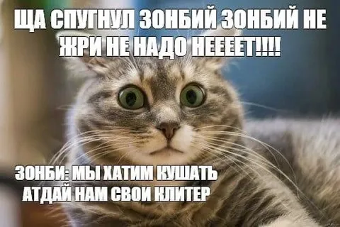 Зомби хотят кушать кота