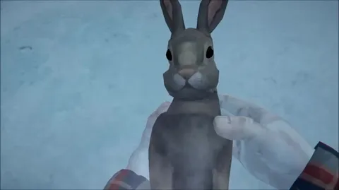 Happy Rabbit Noises Become Gunfire