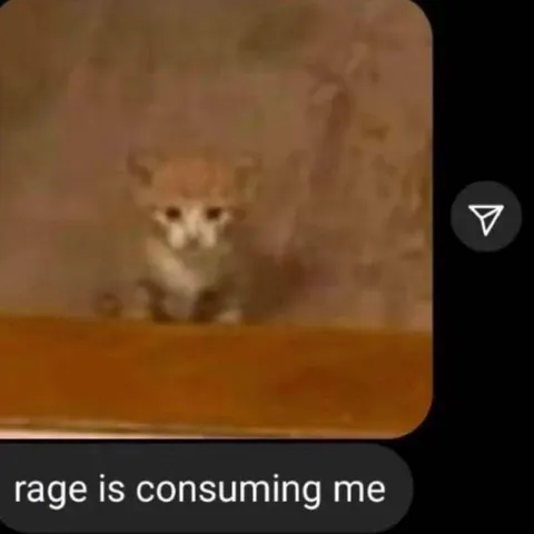 Rage Is Consuming Me