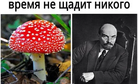 Время не щадит никого