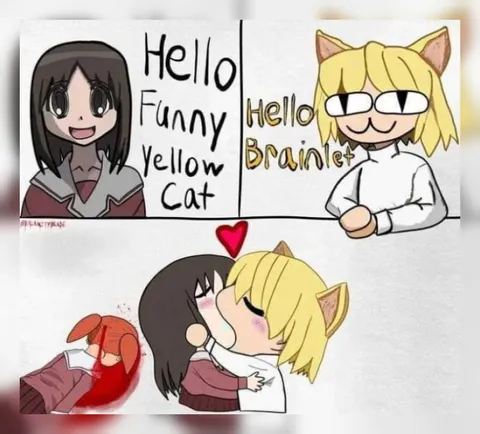 Hello Funny Yellow Cat