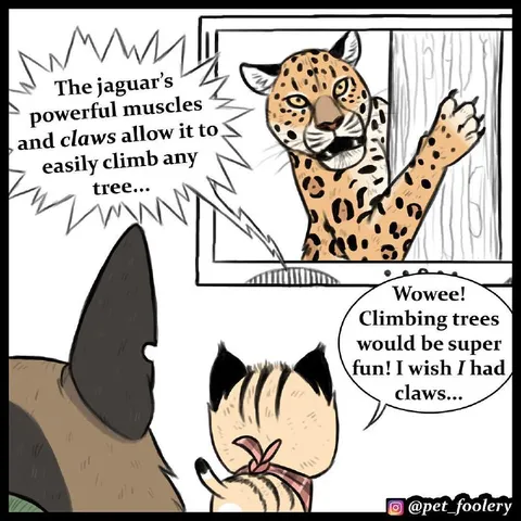 Cat Wishes It Had Claws